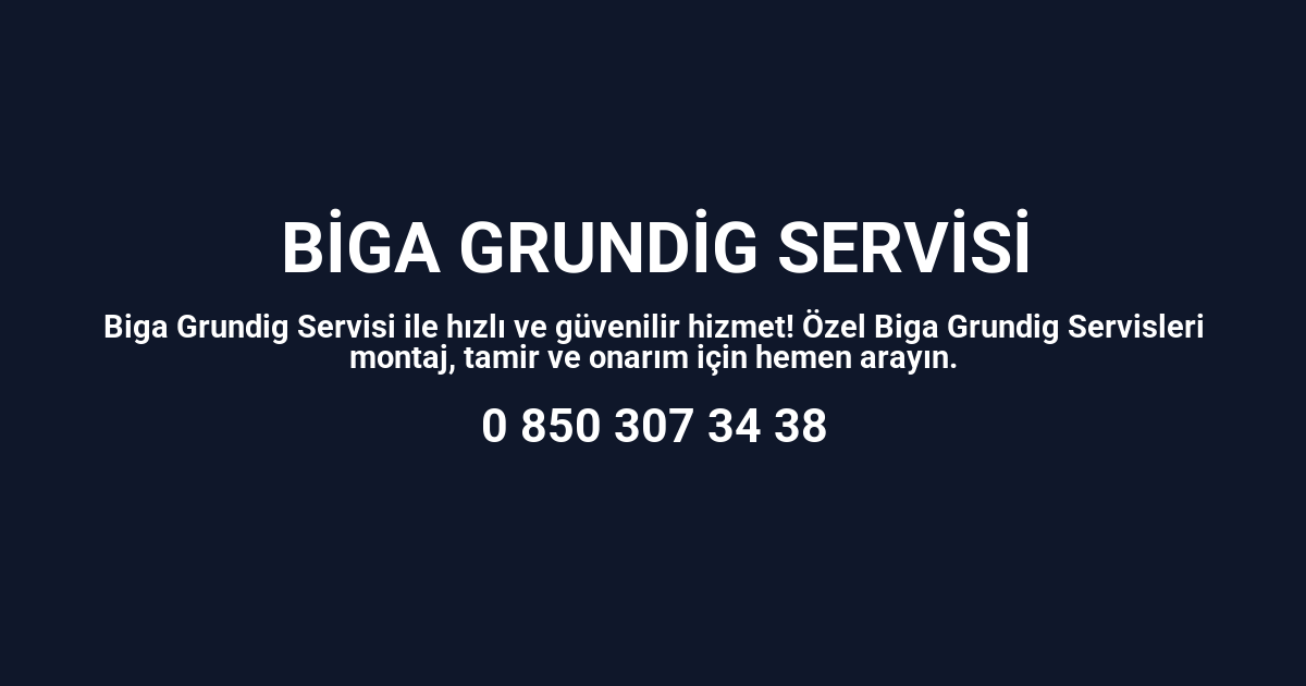 Biga Grundig Servisi